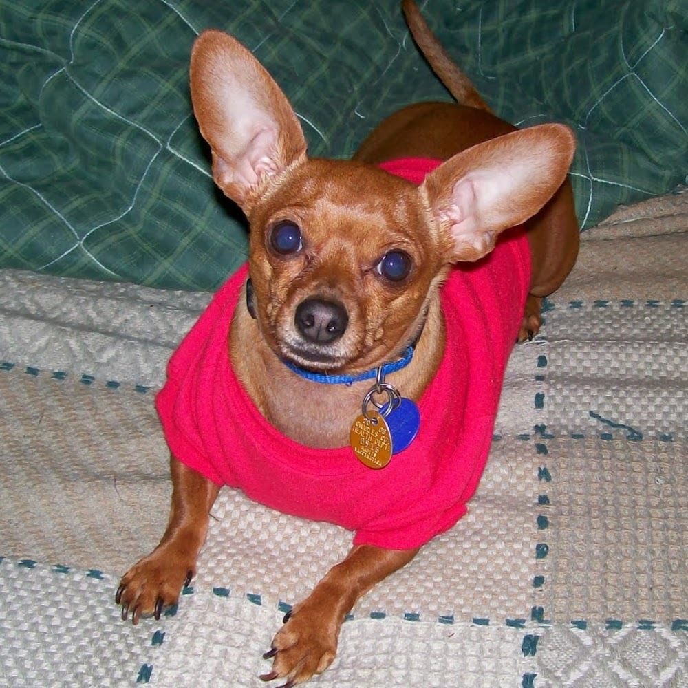 Meet your Posher, Latrenda f.